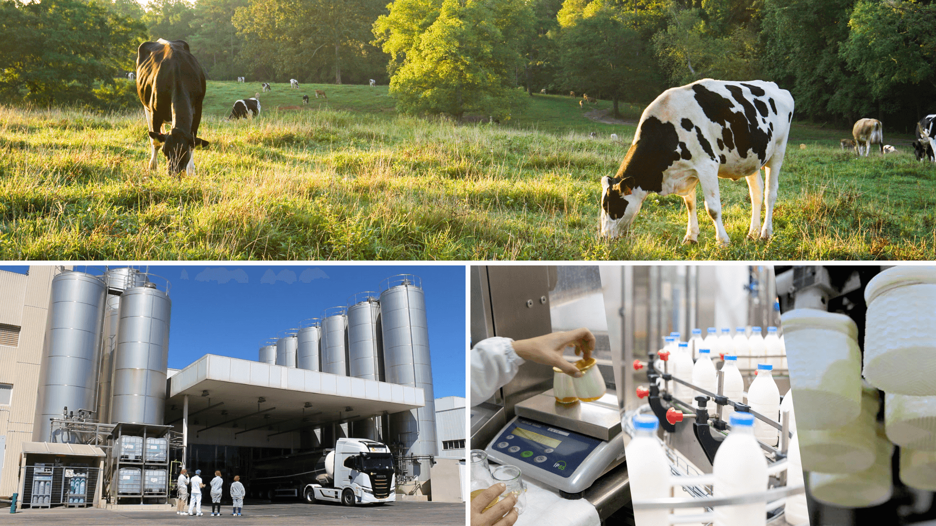 Creación de empleo, inversiones y compra de leche en más de 460 municipios reflejan el compromiso de Grupo Lactalis con la España vaciada