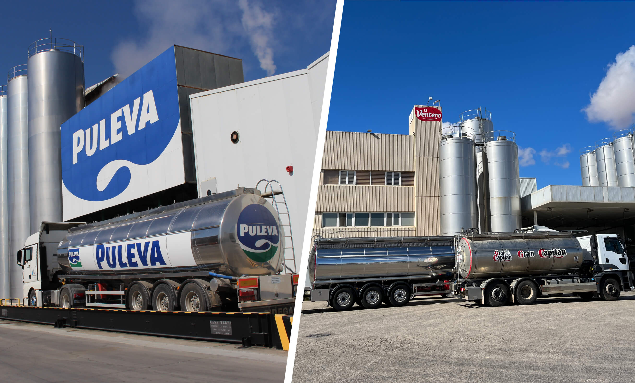 Lactalis España recogió 939 millones de litros de leche en 2023, un 5,15% más que el año anterior