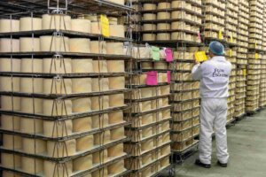 Lactalis impulsa el tejido económico de Castilla y León con más de 32 millones de euros en compras a proveedores locales y más de medio millón de inversión industrial