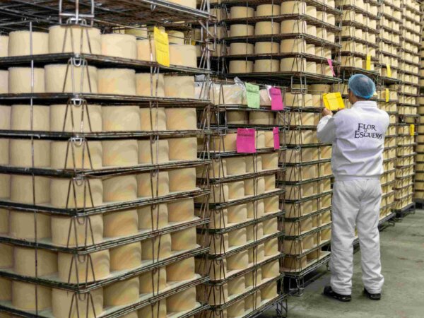 Lactalis impulsa el tejido económico de Castilla y León con más de 32 millones de euros en compras a proveedores locales y más de medio millón de inversión industrial