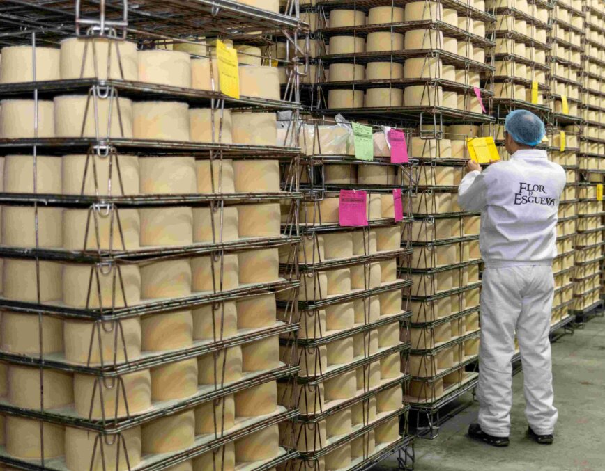 Lactalis impulsa el tejido económico de Castilla y León con más de 32 millones de euros en compras a proveedores locales y más de medio millón de inversión industrial