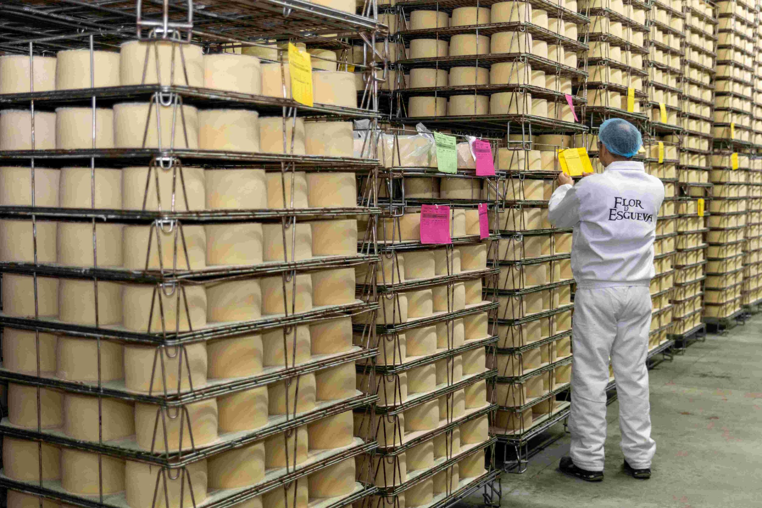 Lactalis impulsa el tejido económico de Castilla y León con más de 32 millones de euros en compras a proveedores locales y más de medio millón de inversión industrial